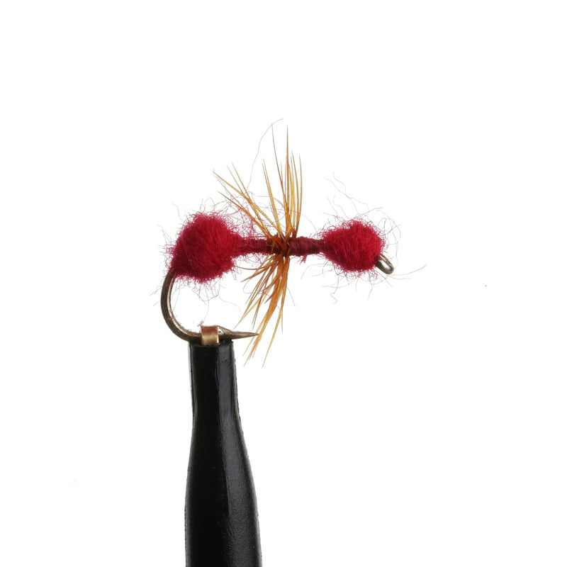 Ant Red