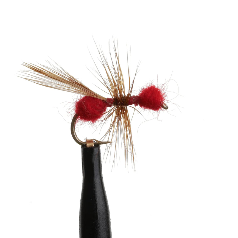 Flying Ant Red