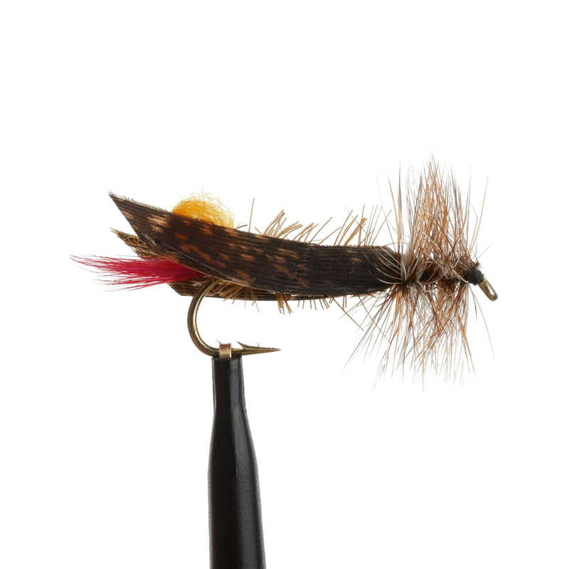 Joes Hopper Orange