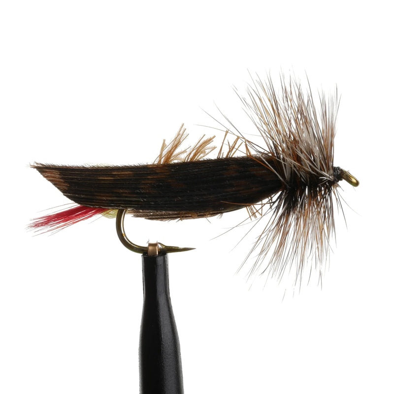 Joes Hopper Yellow