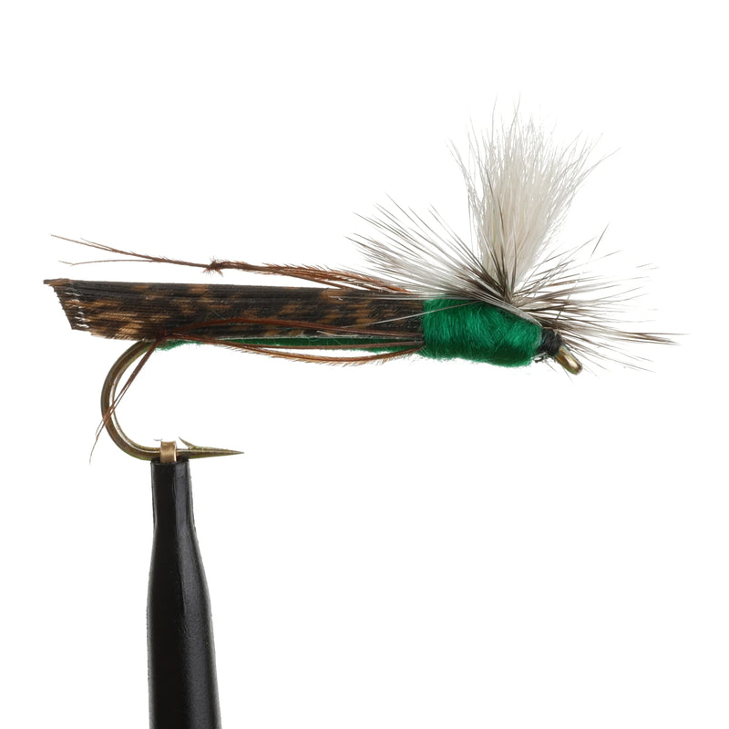 Para Hopper Green