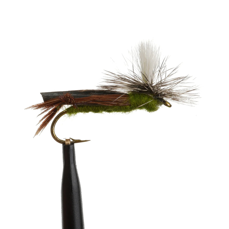 Para Hopper Olive