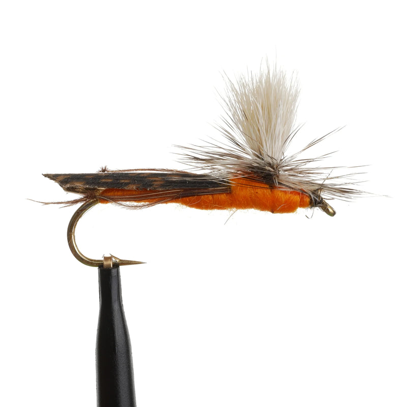 Para Hopper Orange
