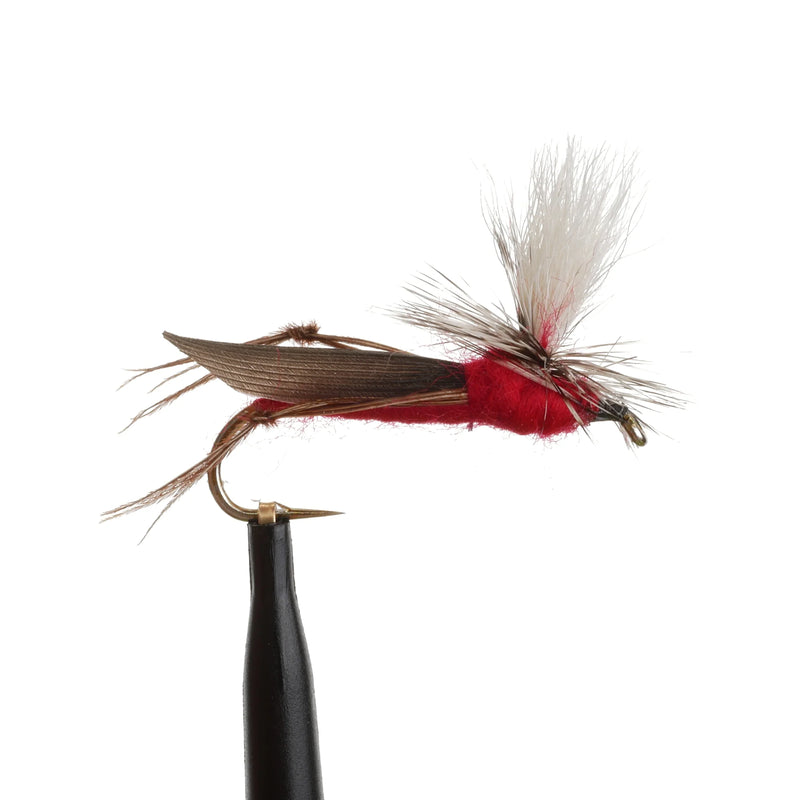 Para Hopper Red