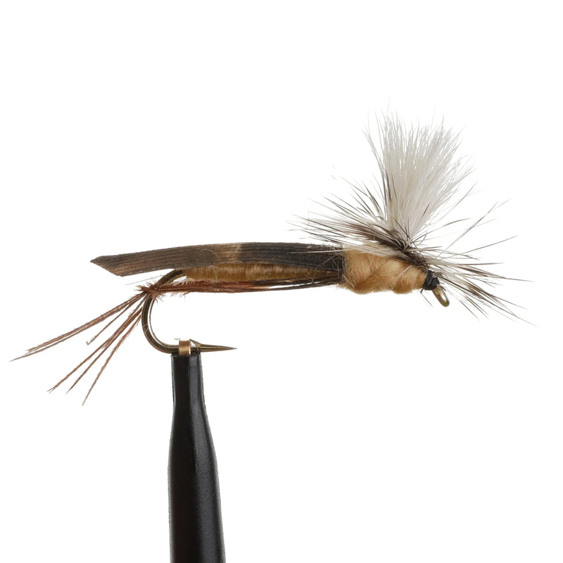 Para Hopper Tan
