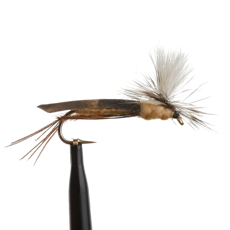 Para Hopper Tan