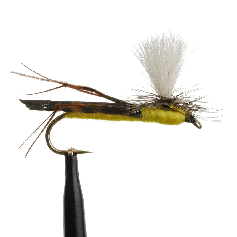 Para Hopper Yellow