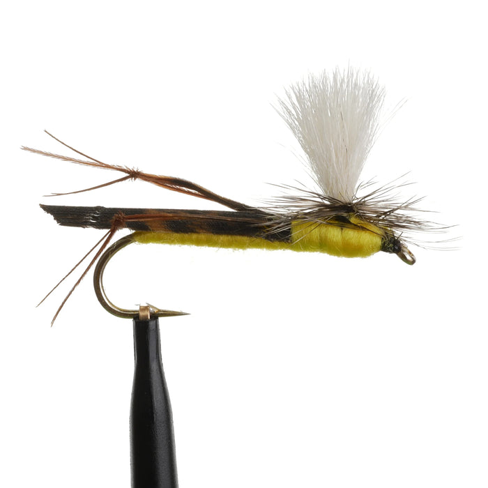 Para Hopper Yellow