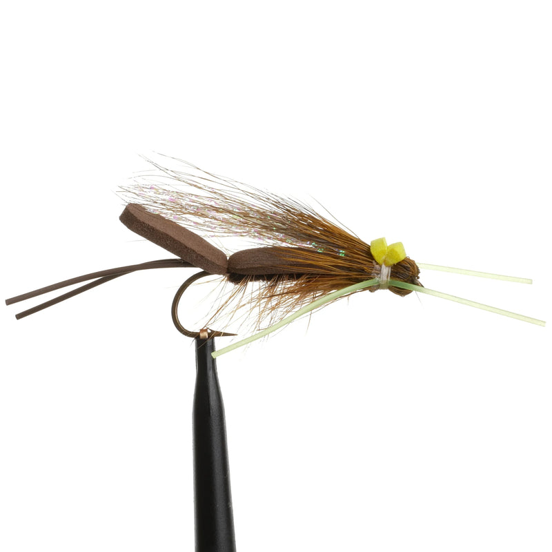Long-Tailed Skwala Stonefly Natural