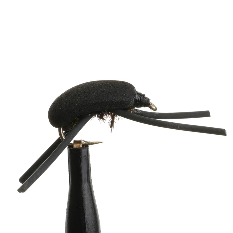 Gum Beetle Black