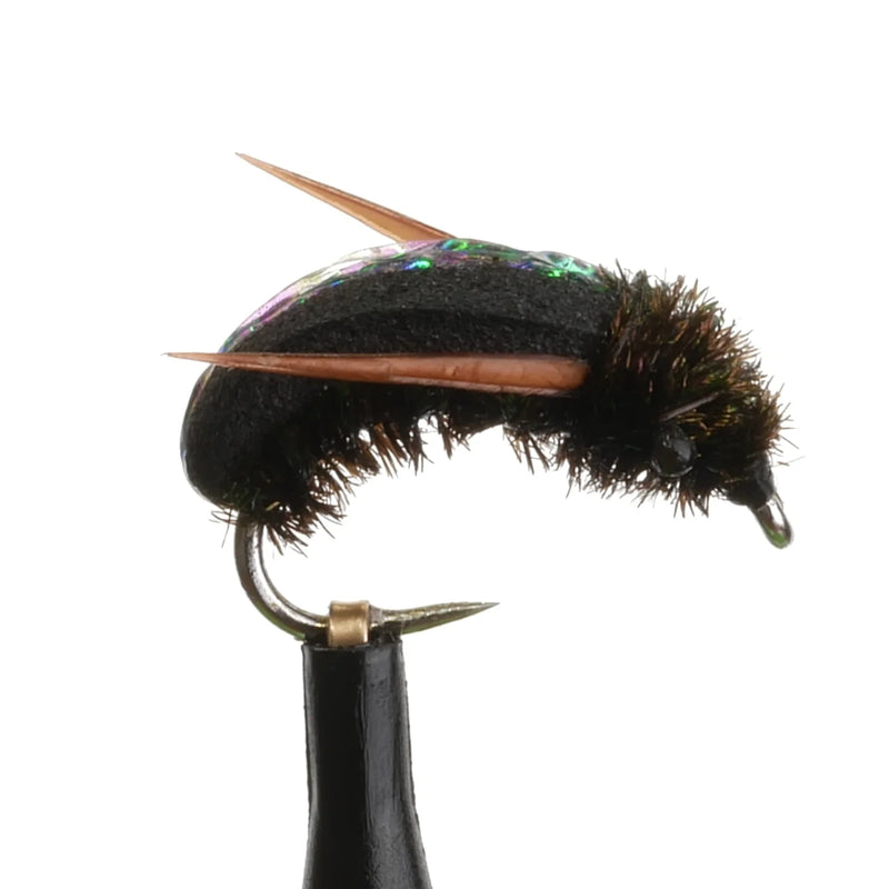 Foam Water Boatman