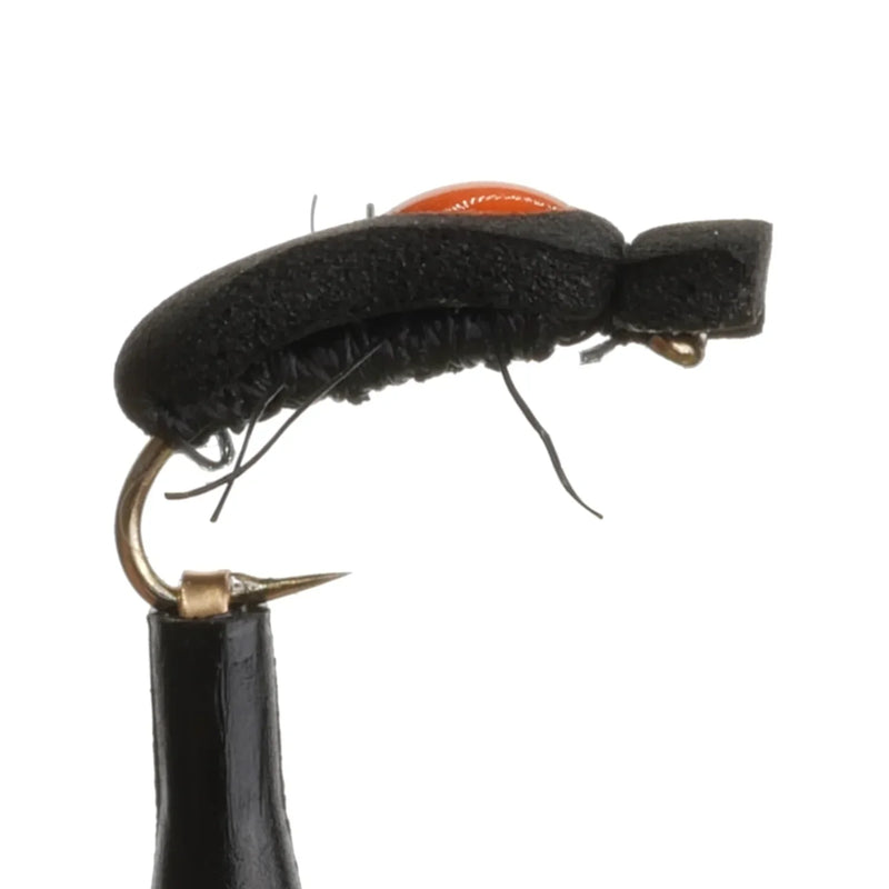 Quicksite Beetle Natural