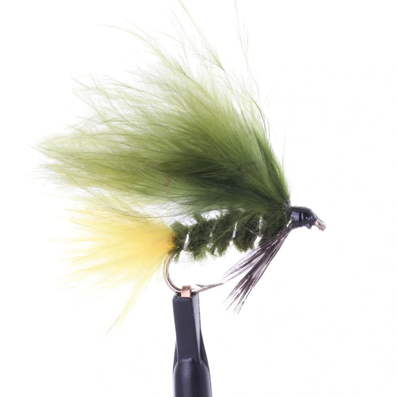 Dawson's Olive