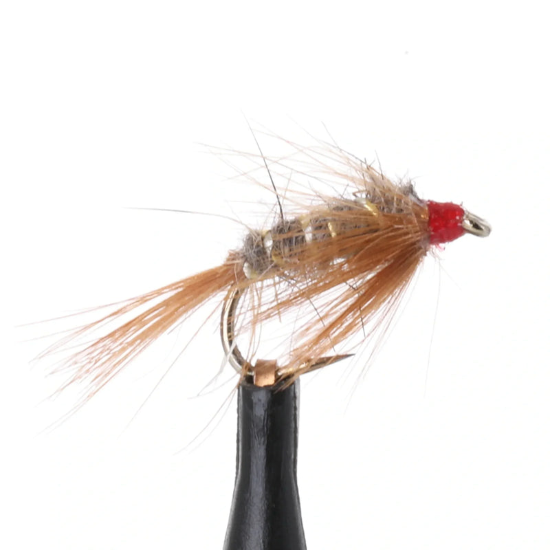 Diawl Bach Hares Ear
