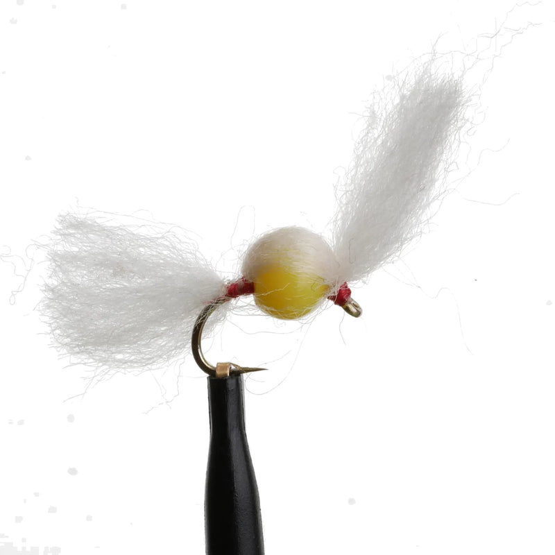 Milk Egg Cluster Yellow