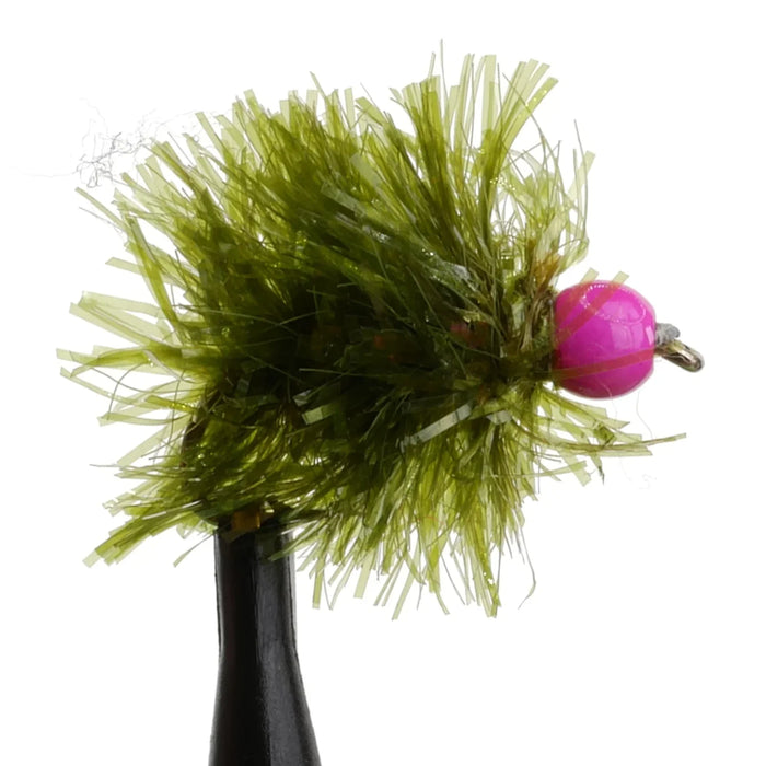 Pink Hot Head Blob Olive