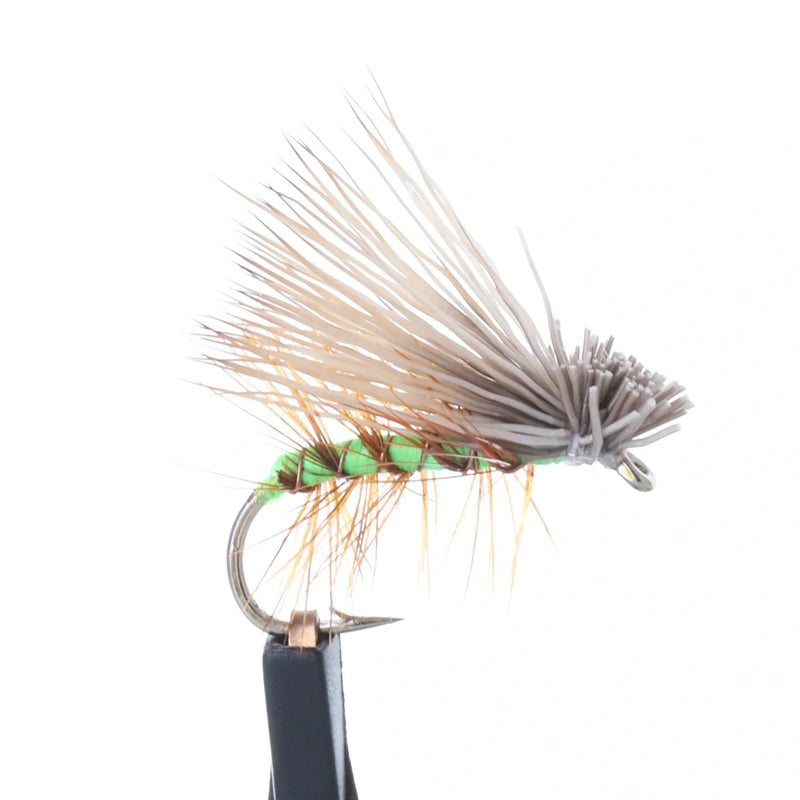 Elk Hair Caddis Apple Green