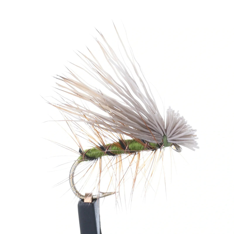 Elk Hair Caddis Olive