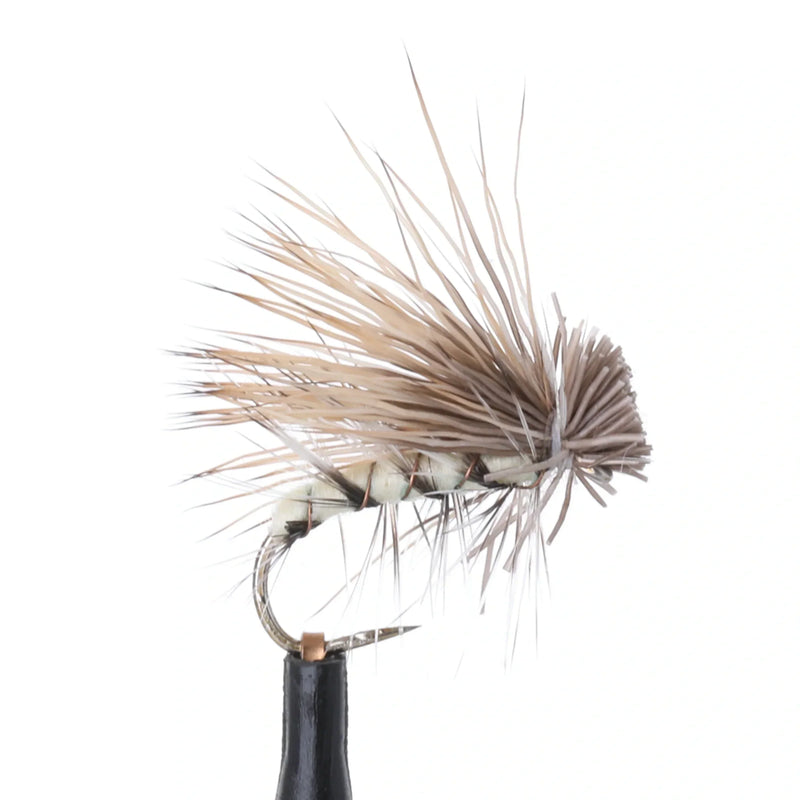 Elk Hair Caddis Spruce Moth