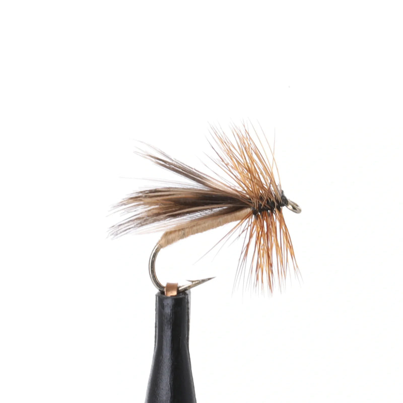Europea-12 Tan
