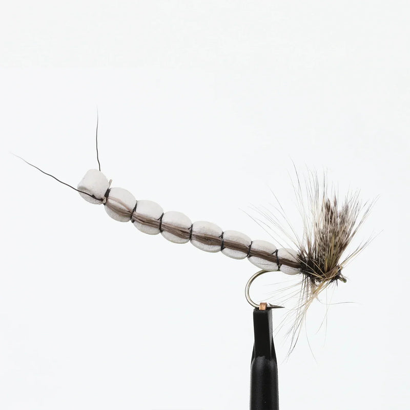 Fan-Wing Coffin Fly
