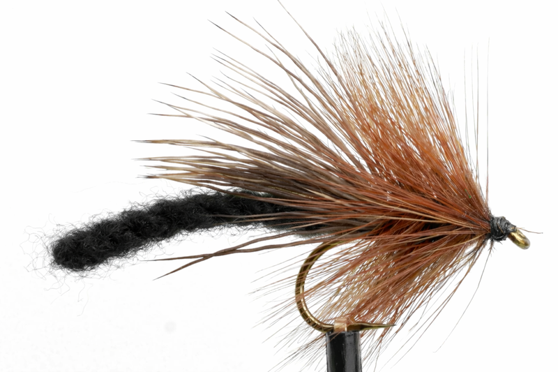 Fluttering Stonefly Black