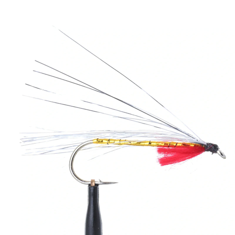 FLASH FLY GOLDEN