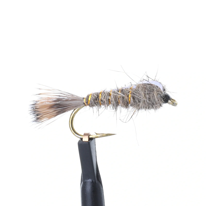 Full-Flashback Hares Ear