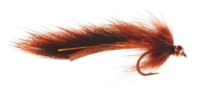 Pine Squirrel Leech Brown
