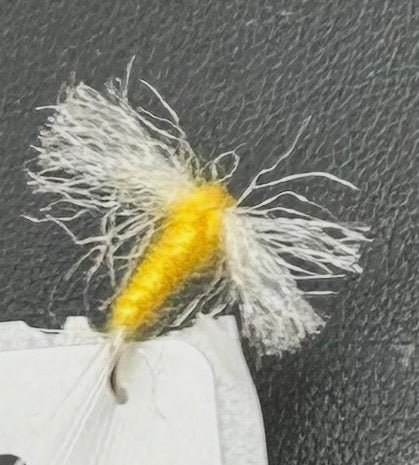 Sulphur Spinner Golden