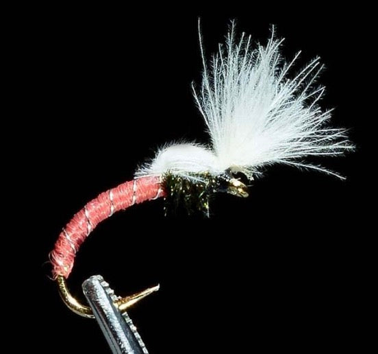 Smokejumper Brown
