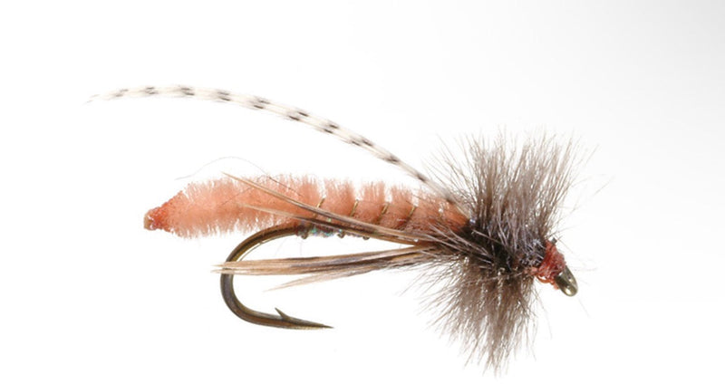 Caddis Poopah Tan