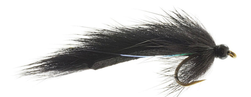 Pine Squirrel Leech Black