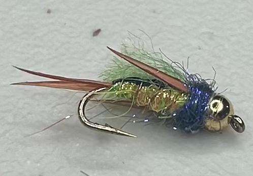 Tungsten Psycho Prince Nymph Orange Belly