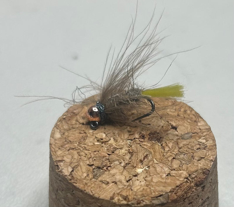 Tasmanian Devil Hares Ear