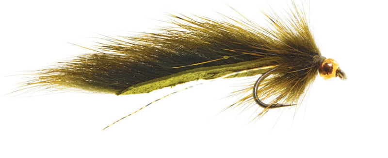 Pine Squirrel Leech Olive