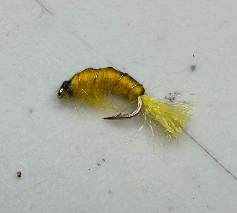 Amber Scud