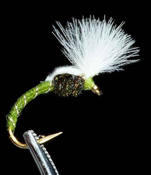 Smokejumper Olive