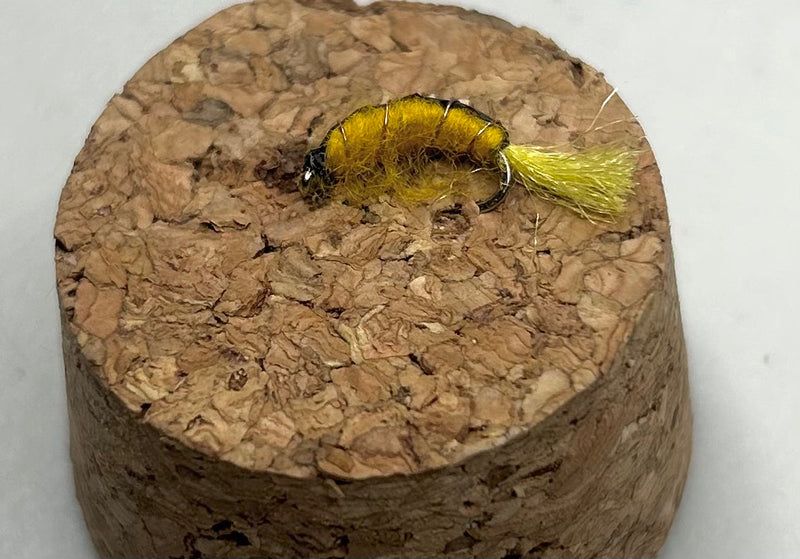 Amber Scud