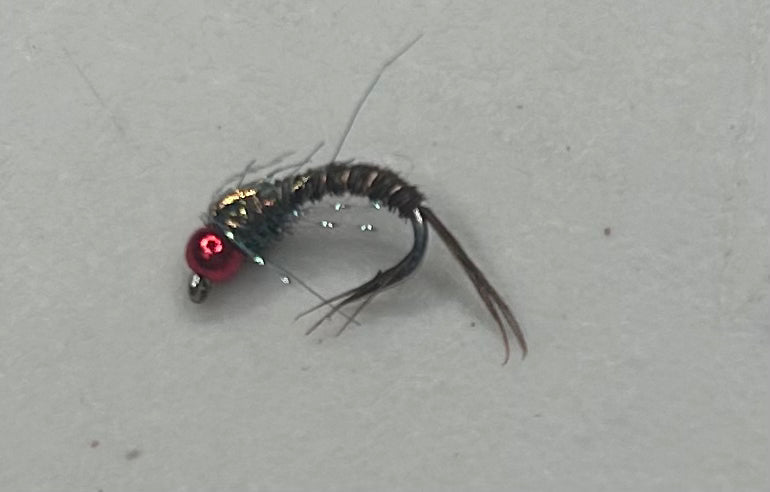 Red Alert Pheasant Tail