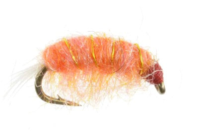 Flashback Scud Shell Pink