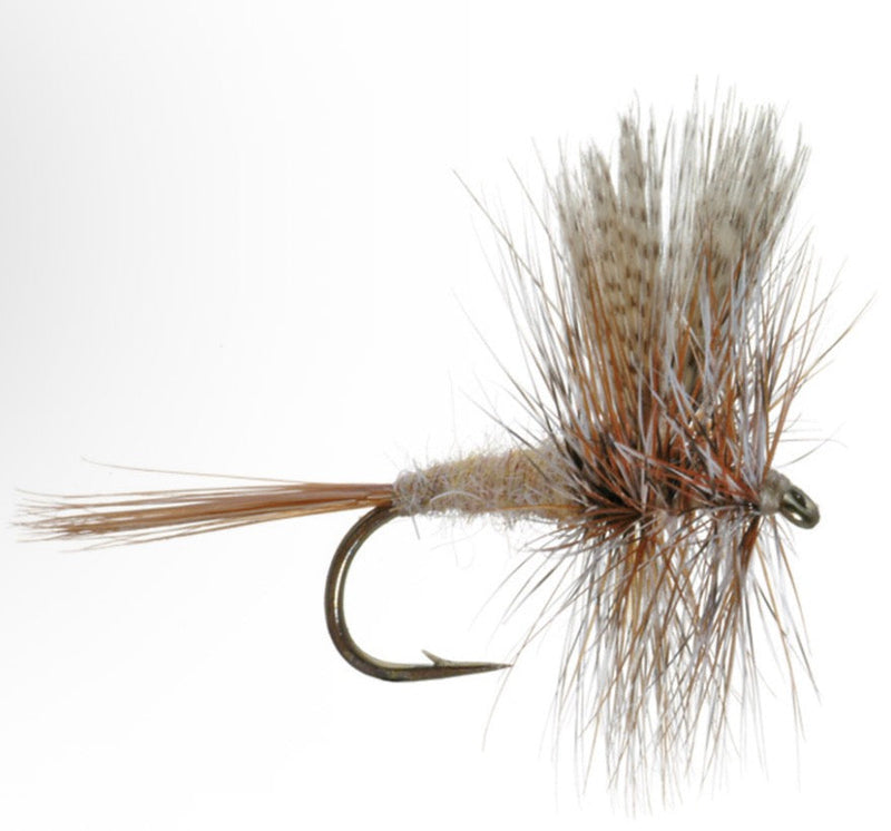 March Brown