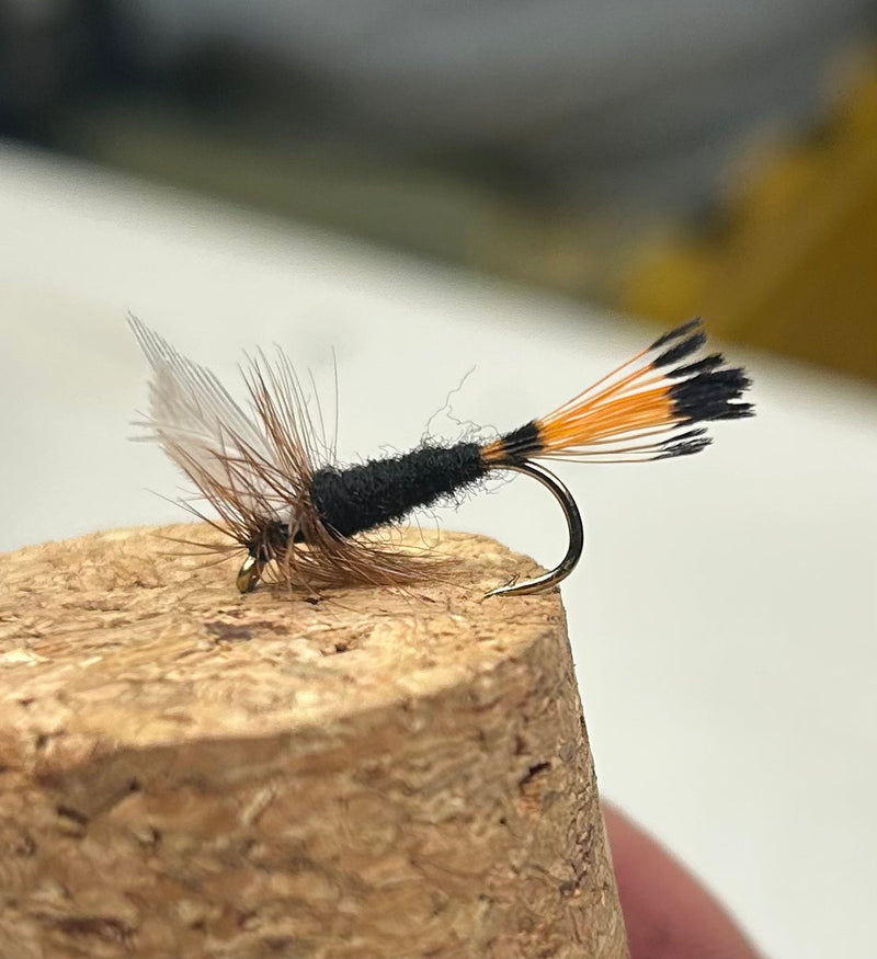 Rio Grande King