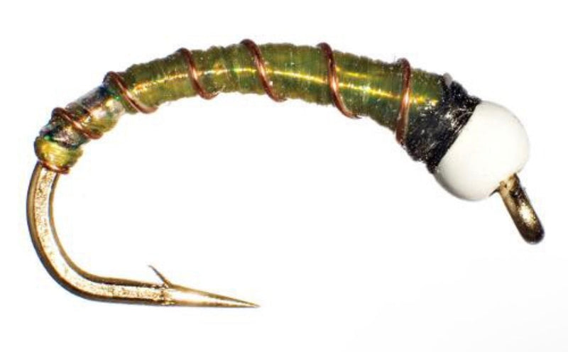 Ice Cream Cone Chironomid Olive