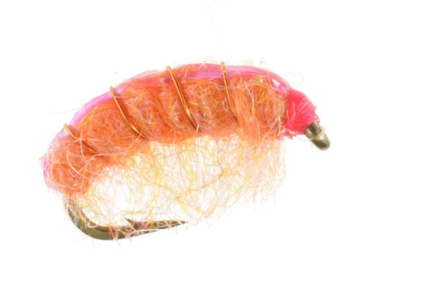 BeadHead Krystal-Back Scud Shell Pink