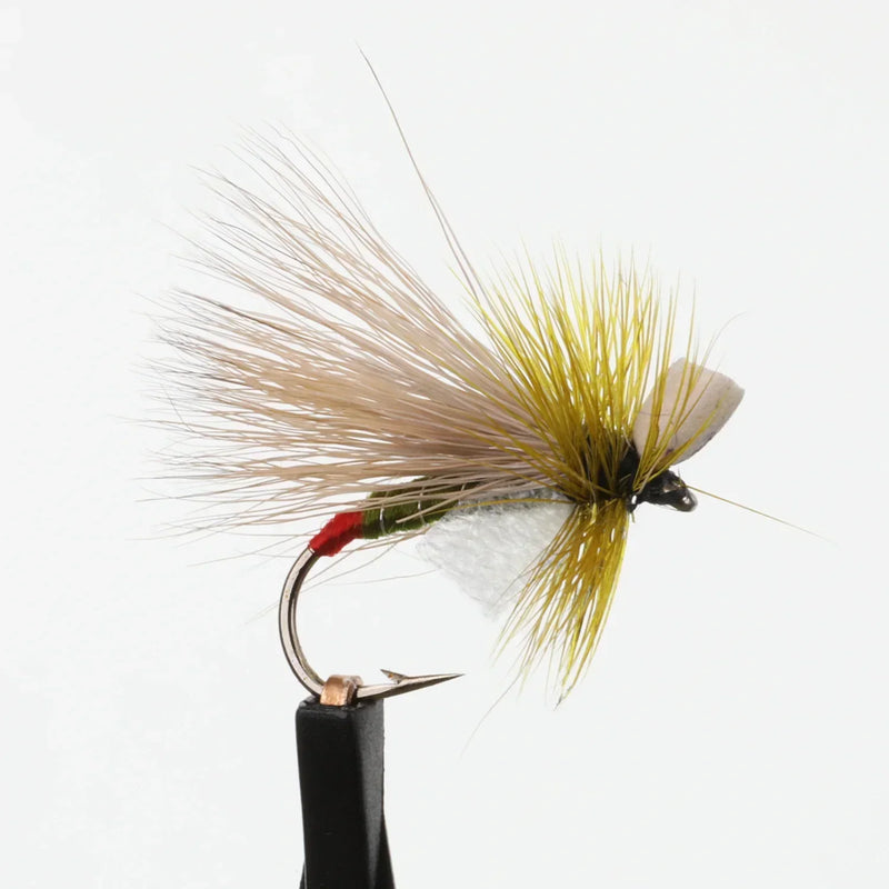 Green Drake Fripple