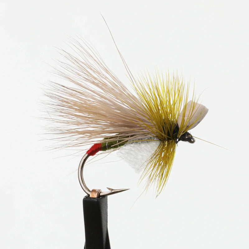 Bristol Hopper Red