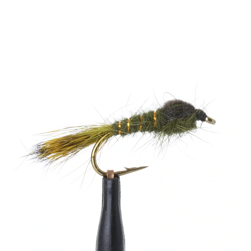 Hares Ear Nymph Olive