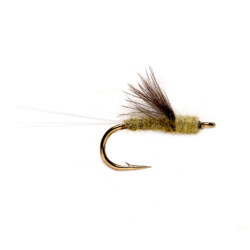 RS2 CDC Baetis