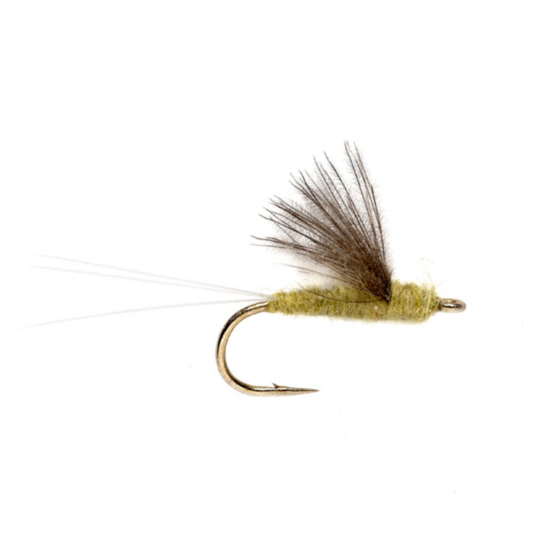 RS2 CDC Pale Morning Dun